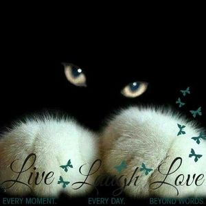 Meet your Posher, Michele